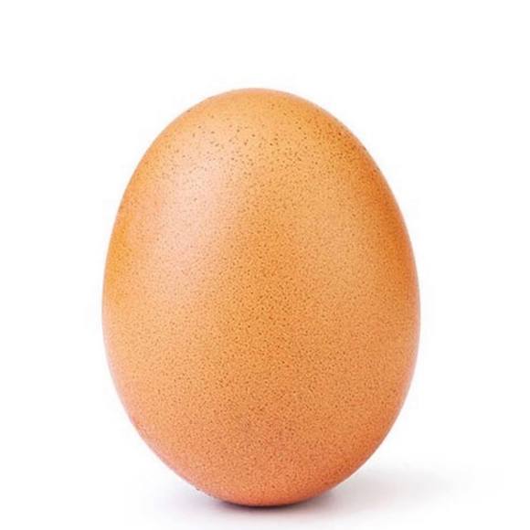 Meet your Posher, Egg - Picture 1 of 1